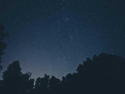 カイドウ SEC
